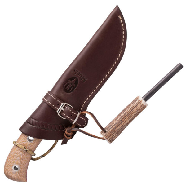 Muela-Aborigen-12C