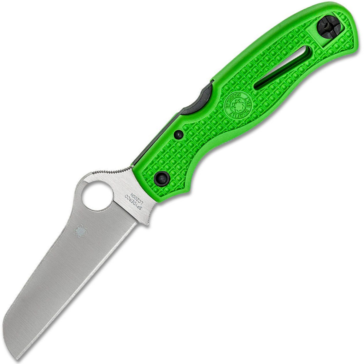 Spyderco-Atlantic-Salt-C89FPGR