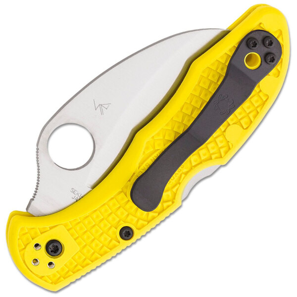 Spyderco-Tasman-Salt-2-C106SYL2