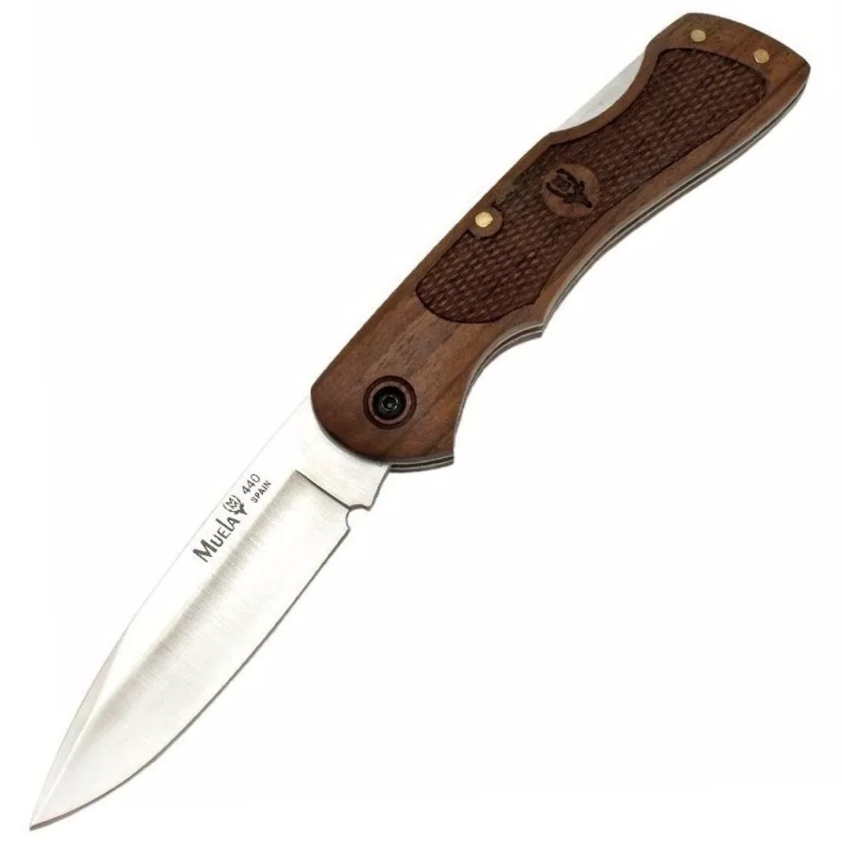 Muela-BX-8NG
