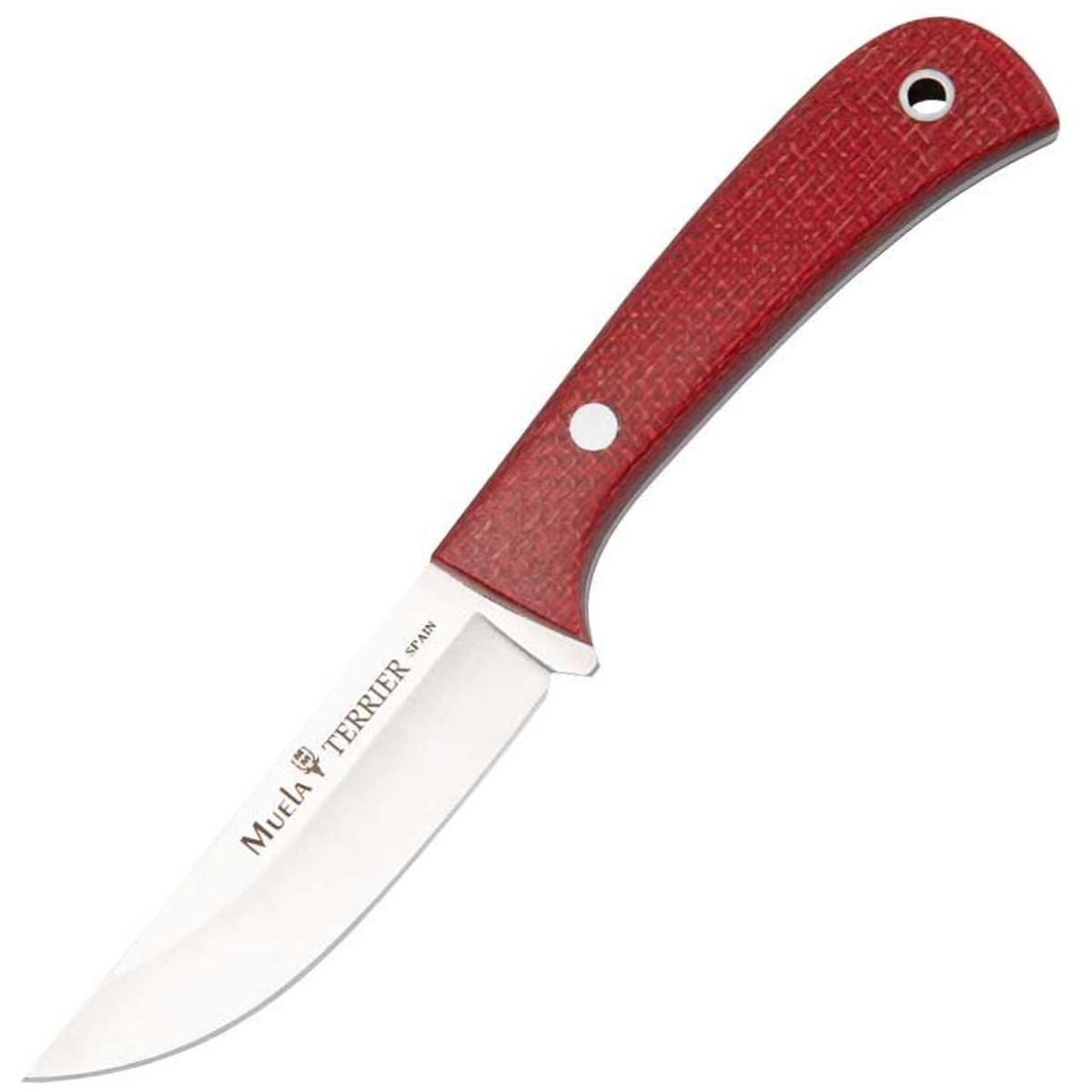 muela-terrier-9y-small-knife