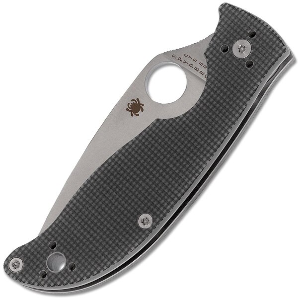 Spyderco-Polestar-C220GPGY