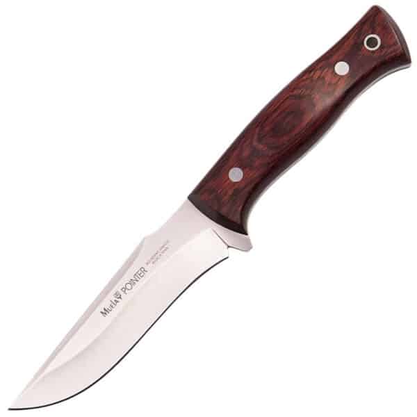 muela-pointer-wood-12r