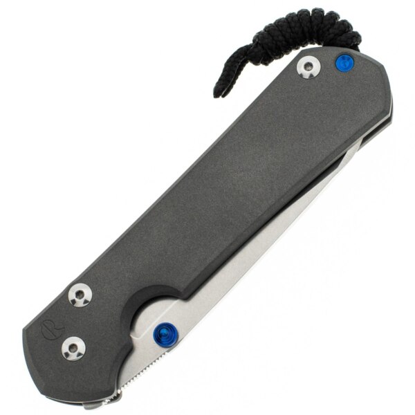 Chris-Reeve-Large-Sebenza-31-Insingo-L31-1008