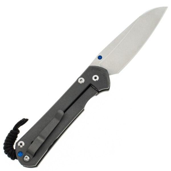 Chris-Reeve-Large-Sebenza-31-Insingo-L31-1008