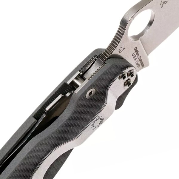 SPC81GPDGY2_spyderco-spc81gpdgy2