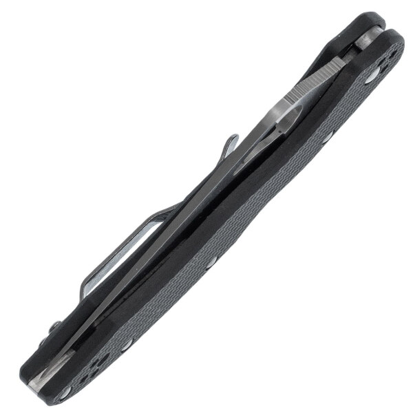 Spyderco-Byrd-Harrier-2- BY01GPS2
