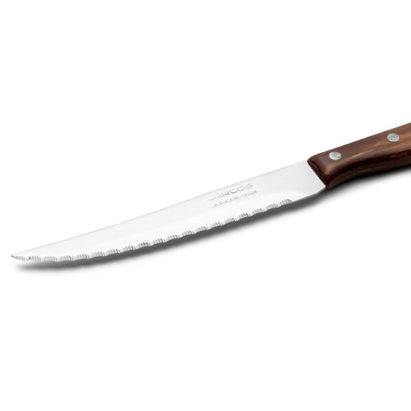 Arcos-Steakový-Nůž-Latina-Series-105mm-100400