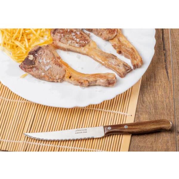 Arcos-Steakový-Nůž-Latina-Series-105mm-100400
