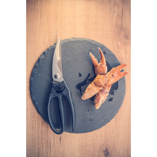 Arcos-Tijeras-de-Pollo-Serie-Ecopro-240mm