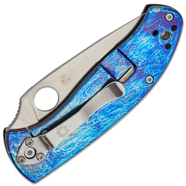 Spyderco-Tenacious-C122TIBLD2P