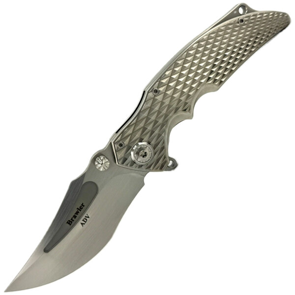 Andre-de-Villiers-Brawler