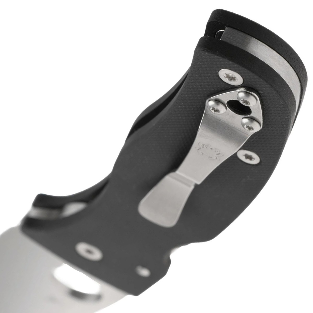 Spyderco-Bodacious-C263GS